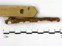 登錄號:F0005115藏品圖，第3張