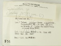 登錄號:F0005116藏品圖，第2張