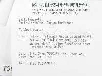 登錄號:F0005116藏品圖，第3張