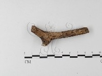 登錄號:F0005116藏品圖，第1張