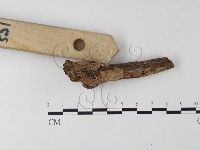 登錄號:F0005116藏品圖，第4張