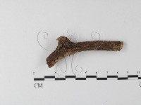 登錄號:F0005116藏品圖，第5張