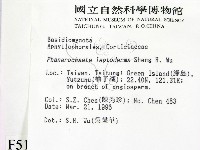 登錄號:F0005117藏品圖，第2張