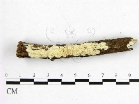 登錄號:F0005117藏品圖，第1張