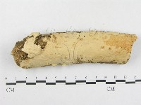 登錄號:F0005118藏品圖，第1張