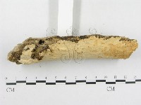 登錄號:F0005118藏品圖，第3張