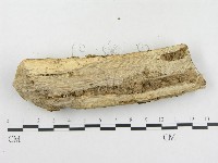 登錄號:F0005118藏品圖，第4張