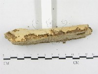 登錄號:F0005118藏品圖，第5張