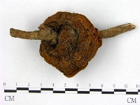 登錄號:F0005119藏品圖，第3張