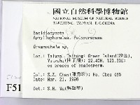 登錄號:F0005120藏品圖，第2張