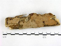 登錄號:F0005120藏品圖，第1張