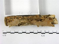 登錄號:F0005120藏品圖，第3張