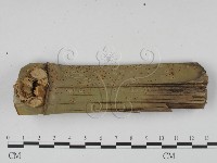 登錄號:F0005122藏品圖，第1張