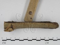 登錄號:F0005122藏品圖，第3張