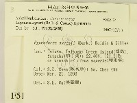 登錄號:F0005124藏品圖，第2張