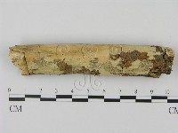 登錄號:F0005124藏品圖，第1張