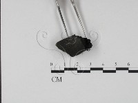 登錄號:F0005125藏品圖，第3張