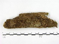 登錄號:F0005126藏品圖，第1張