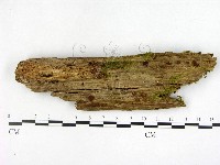 登錄號:F0005126藏品圖，第3張