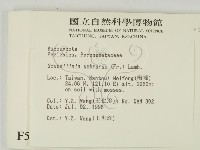 登錄號:F0005127藏品圖，第2張