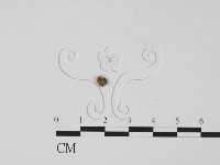 登錄號:F0005127藏品圖，第1張