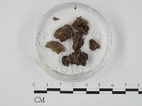 登錄號:F0005128藏品圖，第1張