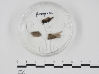 登錄號:F0005129藏品圖，第3張