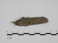 登錄號:F0005131藏品圖，第1張