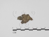 登錄號:F0005132藏品圖，第1張