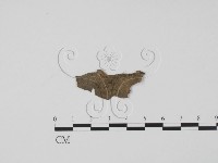 登錄號:F0005132藏品圖，第3張