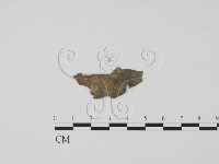 登錄號:F0005132藏品圖，第4張