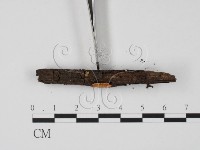 登錄號:F0005134藏品圖，第3張