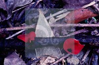 登錄號:F0005134藏品圖，第5張