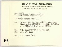 登錄號:F0005135藏品圖，第2張