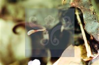 登錄號:F0005135藏品圖，第5張