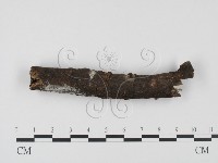 登錄號:F0005136藏品圖，第1張