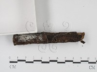 登錄號:F0005136藏品圖，第3張