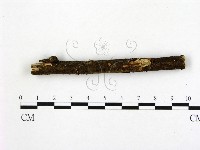 登錄號:F0005137藏品圖，第1張
