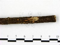 登錄號:F0005137藏品圖，第3張