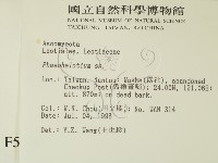 登錄號:F0005139藏品圖，第2張