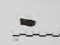 登錄號:F0005139藏品圖，第1張