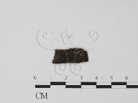 登錄號:F0005139藏品圖，第3張