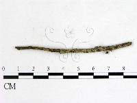 登錄號:F0005141藏品圖，第1張