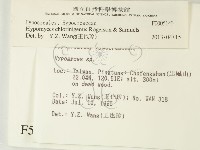 登錄號:F0005143藏品圖，第2張