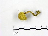 登錄號:F0005143藏品圖，第1張