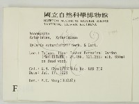 登錄號:F0005144藏品圖，第2張