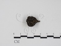 登錄號:F0005144藏品圖，第1張