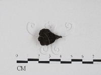 登錄號:F0005144藏品圖，第3張