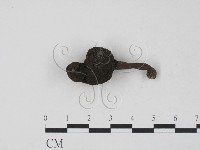 登錄號:F0005145藏品圖，第1張