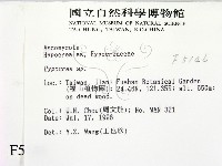 登錄號:F0005146藏品圖，第2張